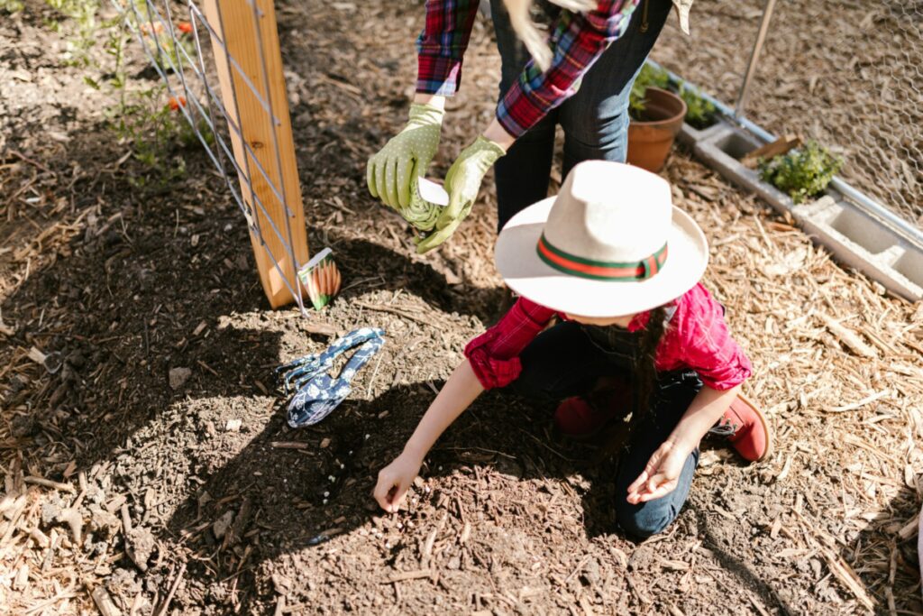 Child digging in a vegetable garden.